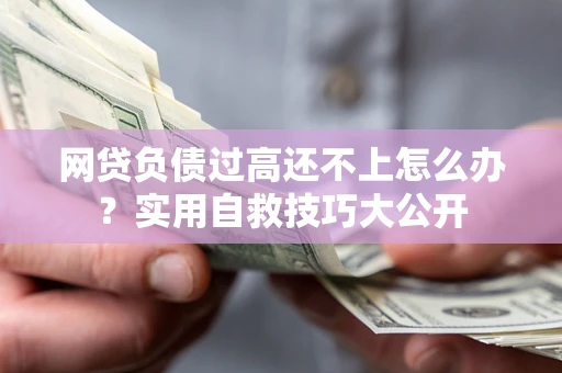 北京网贷负债过高还不上怎么办？实用自救技巧大公开